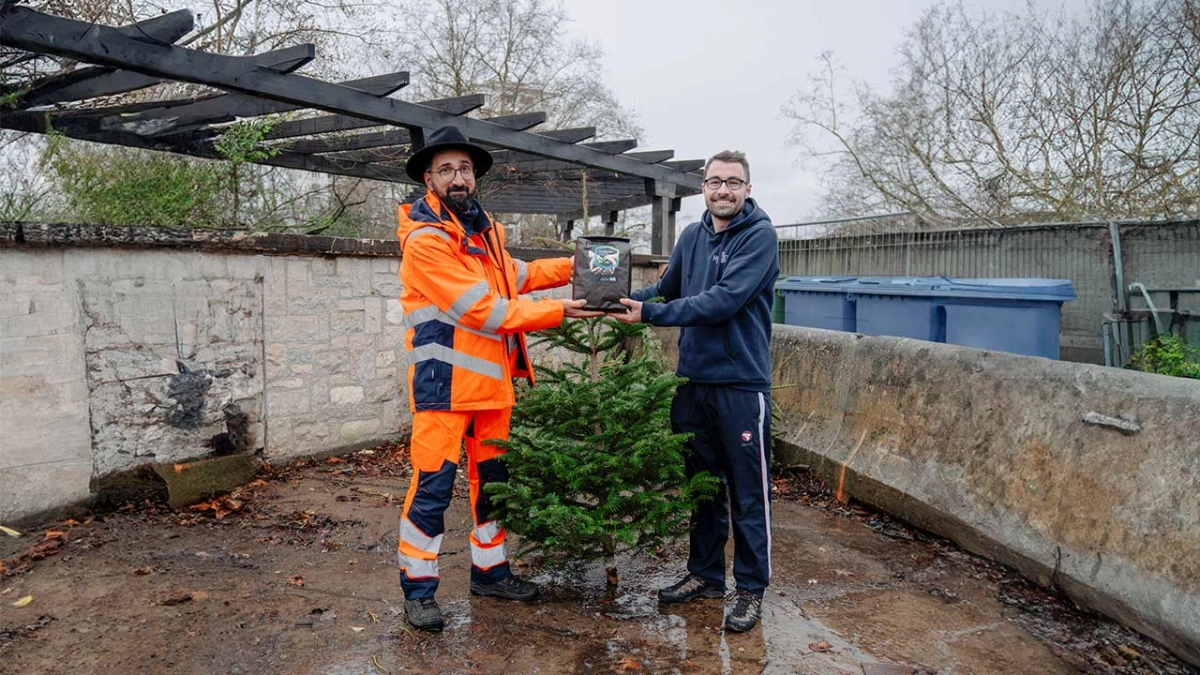 Ein Mann übergibt einem Mitarbeiter des Tiefbauamts seinen ausgedienten Weihnachtsbaum