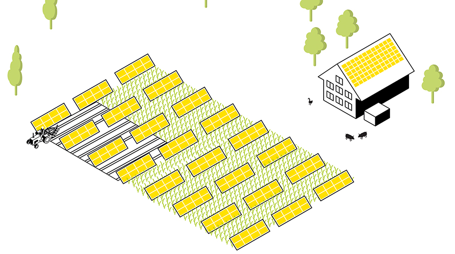 Illustration eine Agri Photovoltaikanlage