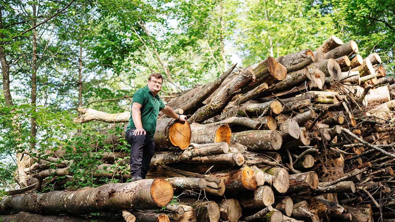 Ein Mann steht im Wald vor einem Haufen Holzstämmen