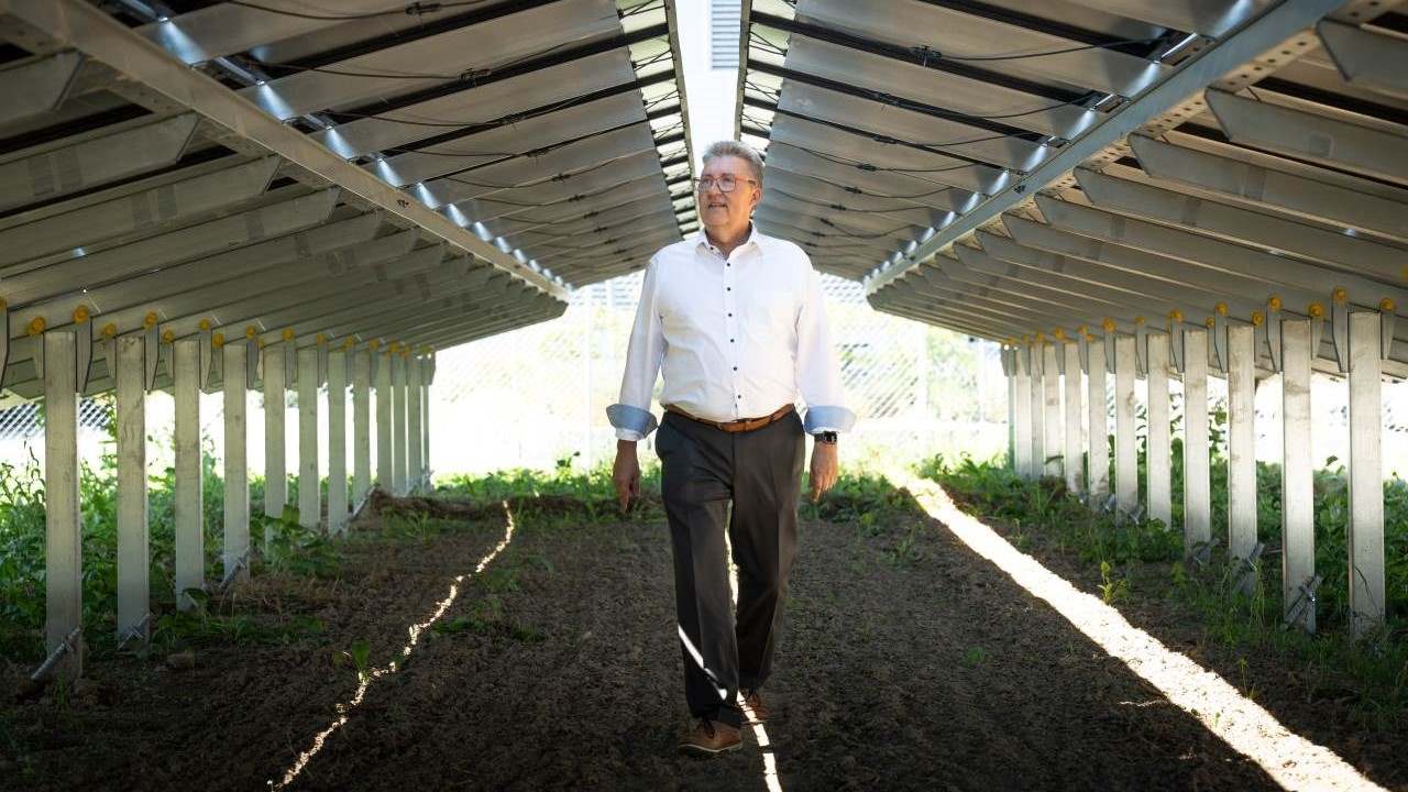 Ein Mann schreitet unter den PV-Panels der Freiflächen-Anlage durch.