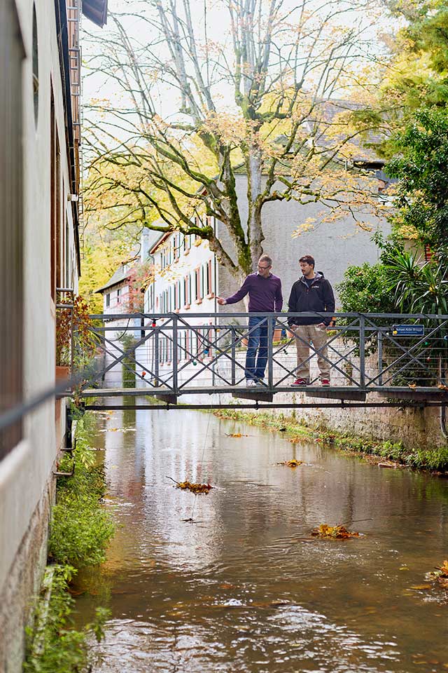 Das «Michael-Alder-Brüggli» über dem Dalbedyych.