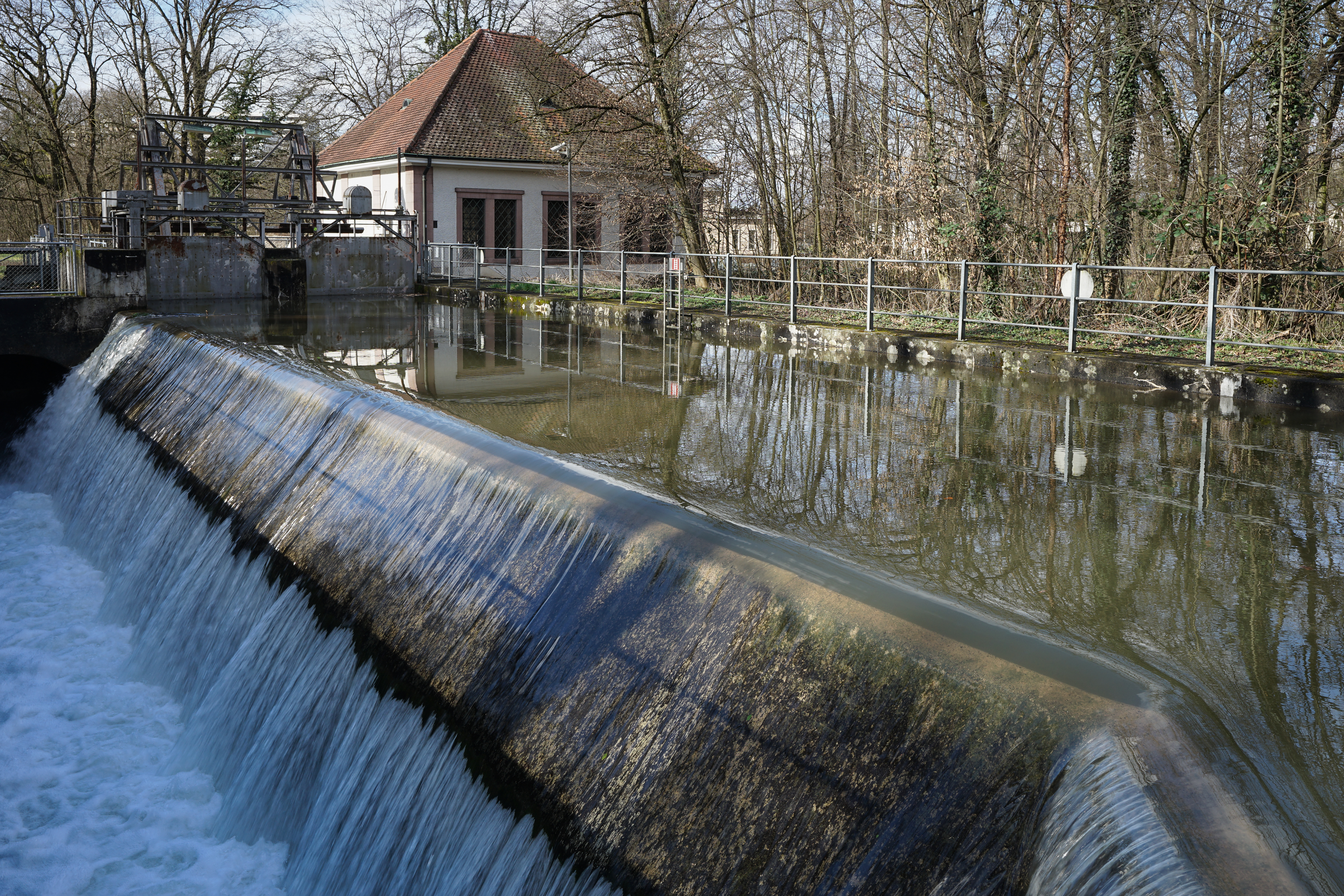 Historischer Plan Rhein und Riehenteich