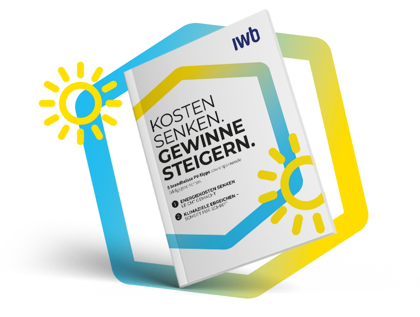 Whitepaper zum Thema Photovoltaik
