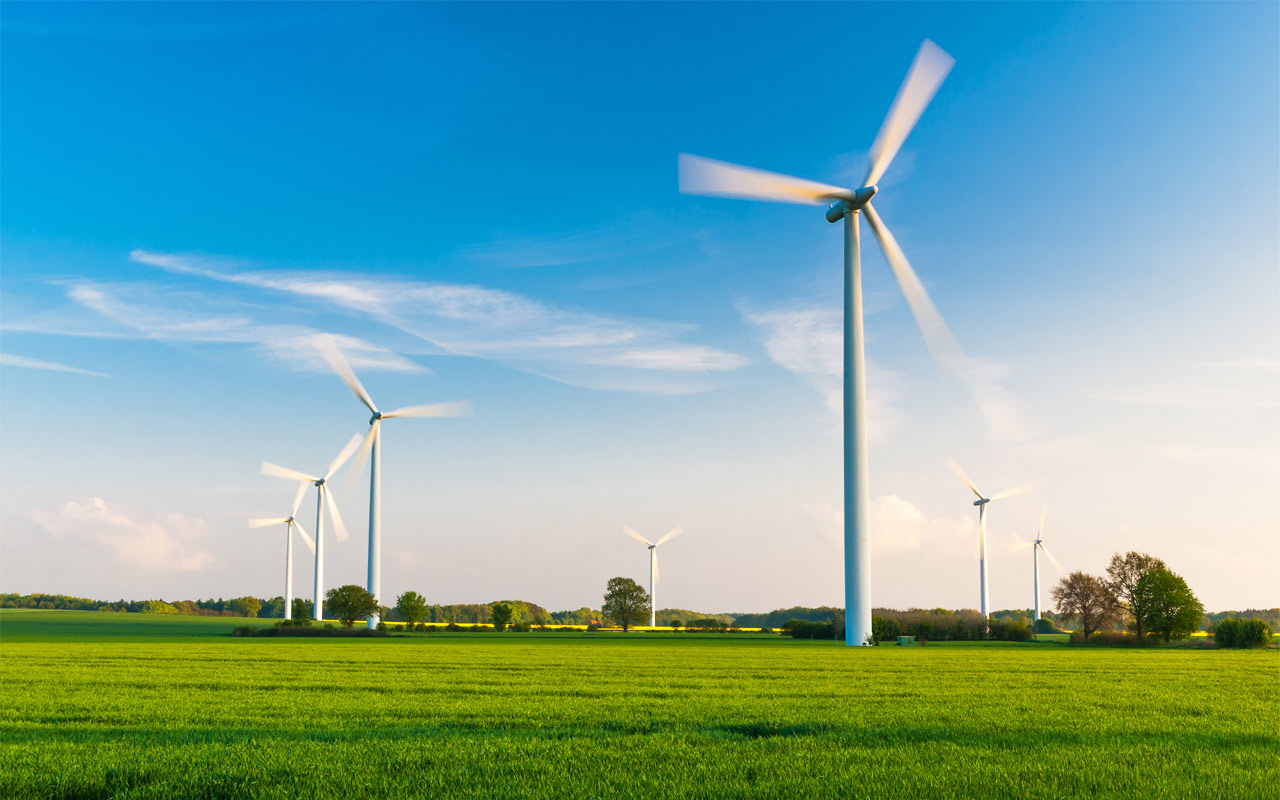 Windkraftanlagen stehen vor blauem Himmel auf einer grünen Wiese