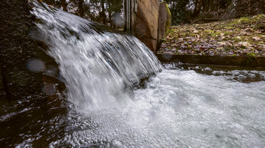 Blick aufs sprudelnde Rheinwasser im Wald, das dazu dient, das Grundwasser anzureichern.