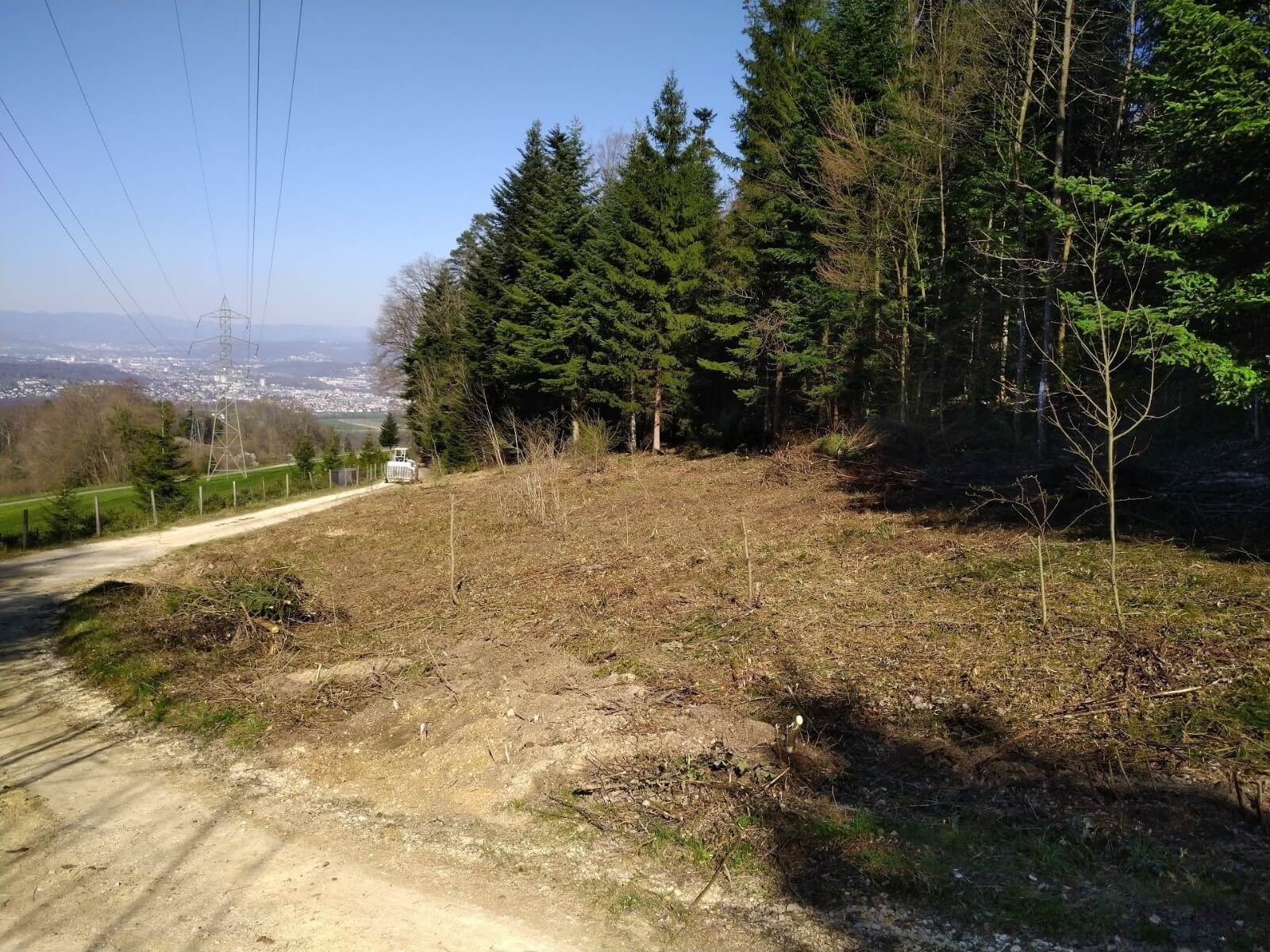 Blick über eine Wiese mit Sträuchern, über die eine Stromleitung verläuft. Im Hintergrund eine Stadt.