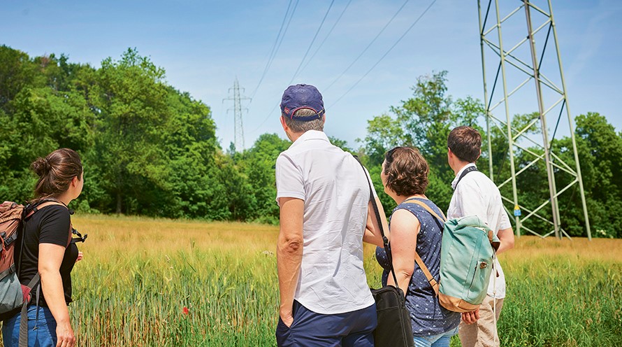 Zwei Frauen und zwei Männer stehen vor einem Getreidefeld. Sie blicken auf eine Hochspannungsleitung, die weiter hinten durch einen Wald verläuft.