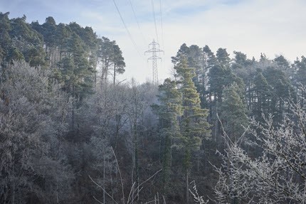 Eine Hochspannungsleitung, die durch einen winterlichen Wald führt. Die Trasse unterhalb der Leitung ist ein rechteckiger Einschnitt in den Wald.