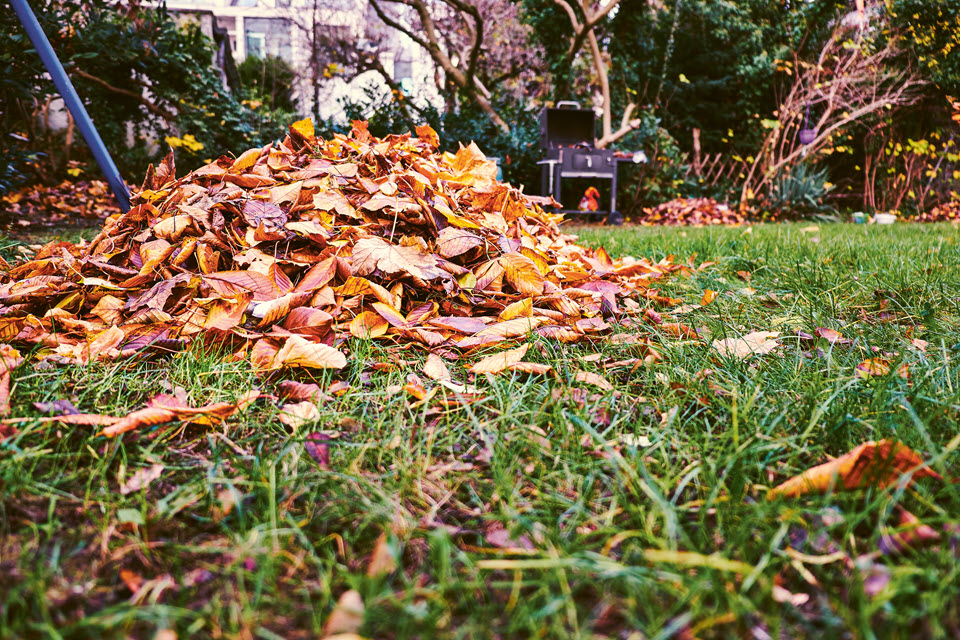 Laubhaufen in einem Garten.