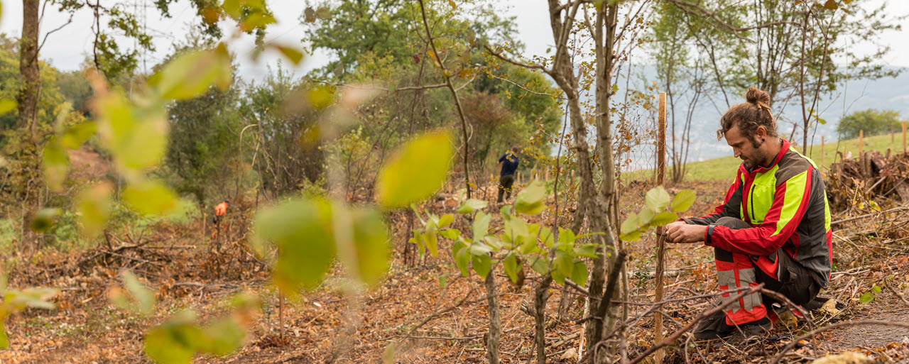 Forstarbeiter im Wald beim Arbeiten unterstützt durch ein Engagement von IWB.