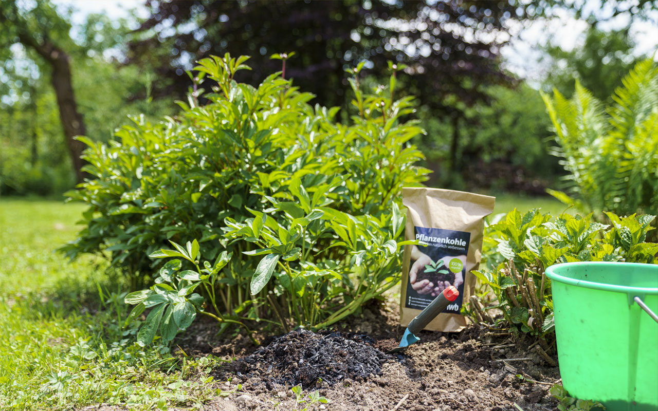 Ein Päckchen IWB Pflanzenkohle steht in einem Garten. Daneben steht ein grüner Eimer.