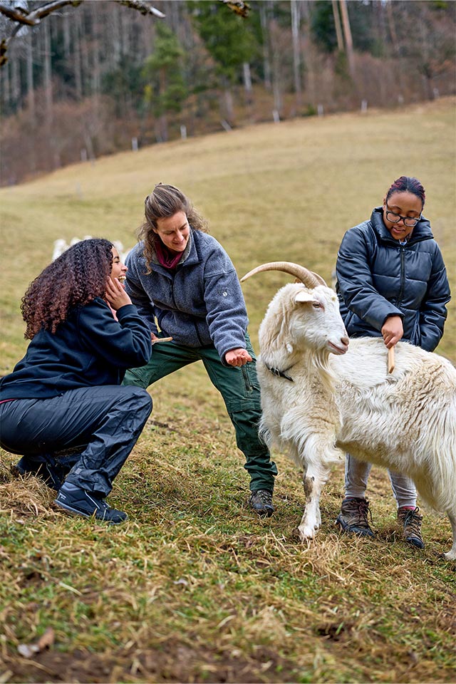 Lea Zaugg bearbeitet zusammen mit einer Schülerin einen Baum. 