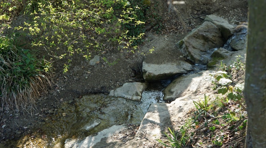 Ein Bachlauf mit Steinen. Die Steine wurden im Rahmen einer Renaturierung im Bach platziert