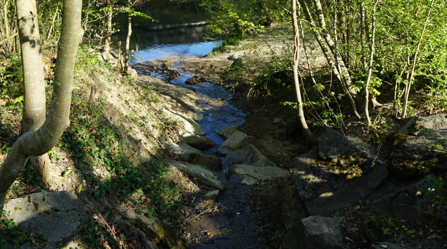 Eine Bachmündung, im Hintergrund der Fluss in den der Bach fliesst.