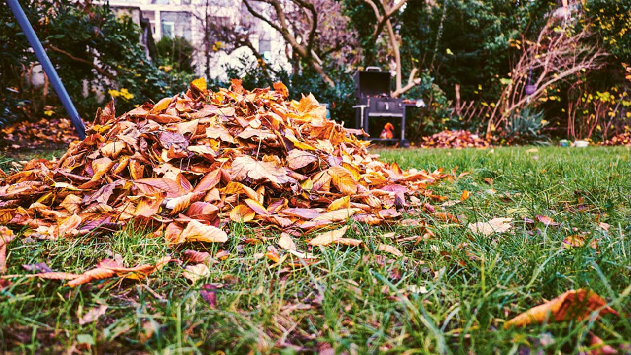 Laubhaufen in einem Garten.
